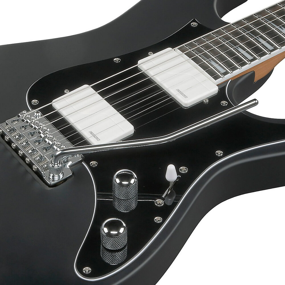 Bernd Bernth Brodträger Ibanez BER10 Signature Bild 04