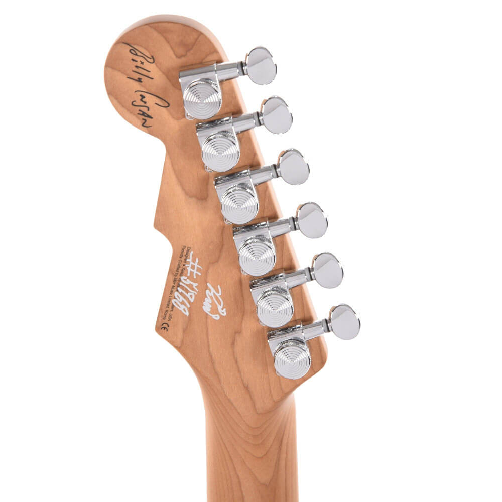 Billy Corgan Reverend Z-One MSF Bild 06