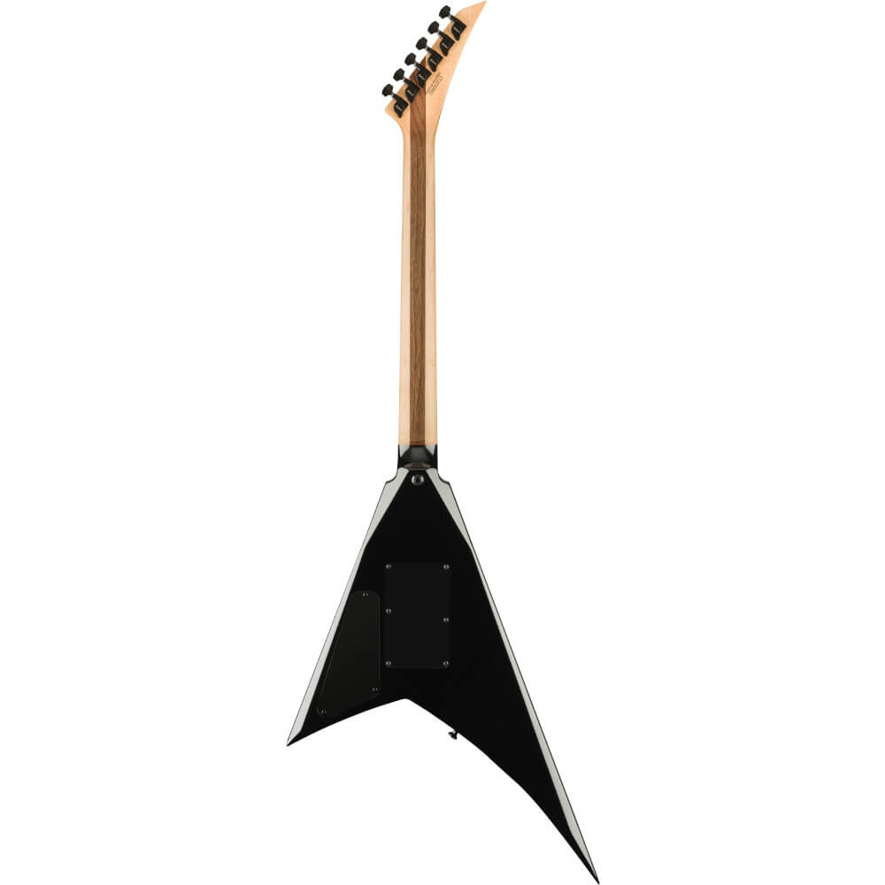 Dimebag Darrell Jackson Rhoads Seitenansicht