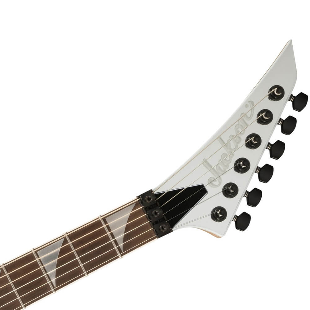 Dimebag Darrell Jackson Rhoads Rückansicht