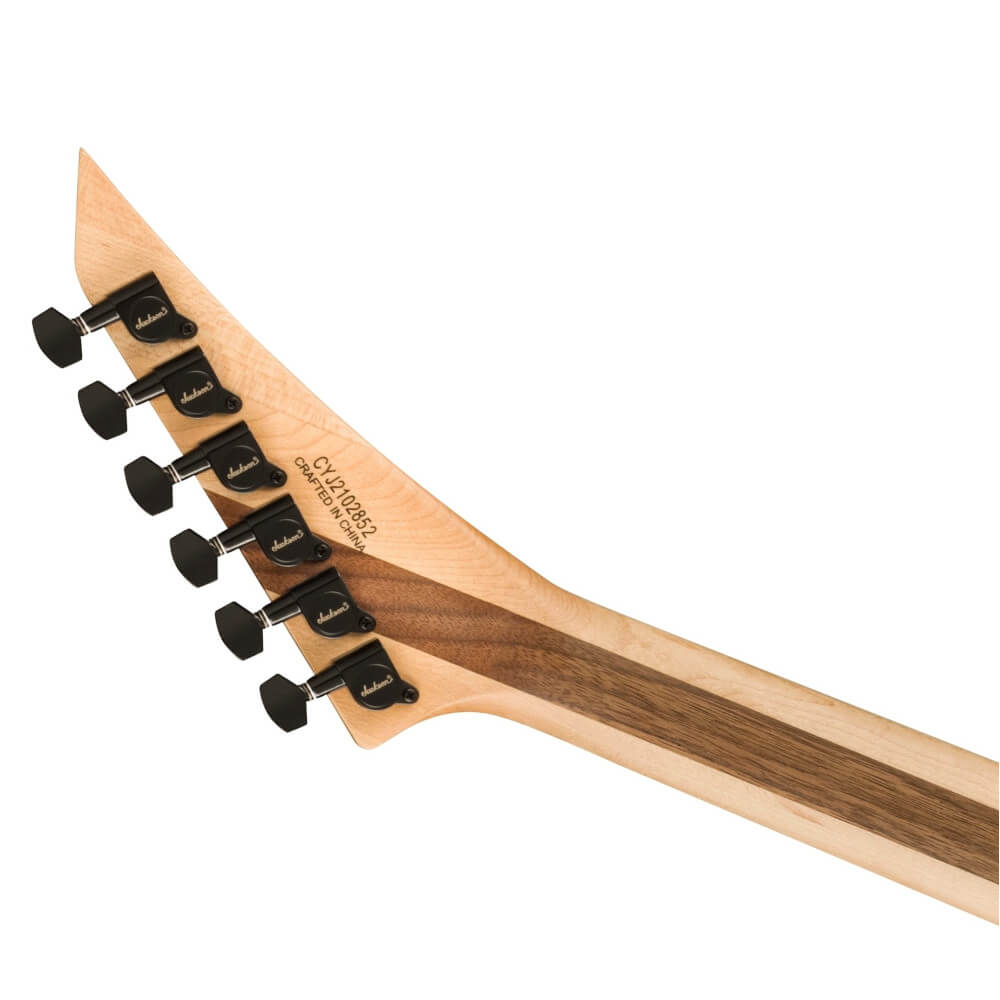 Dimebag Darrell Jackson Rhoads Rückansicht