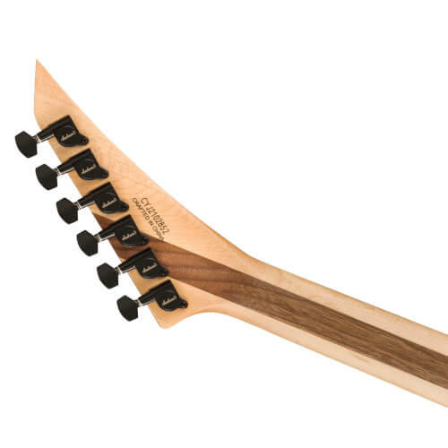 Thumbnail Dimebag Darrell Jackson Rhoads Rückansicht
