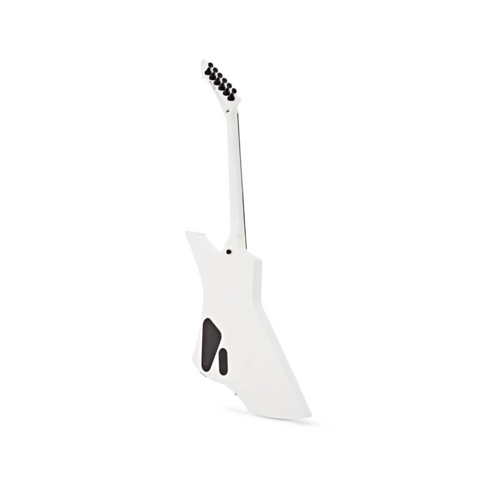 James Hetfield ESP LTD Snakebyte SW Bild 02
