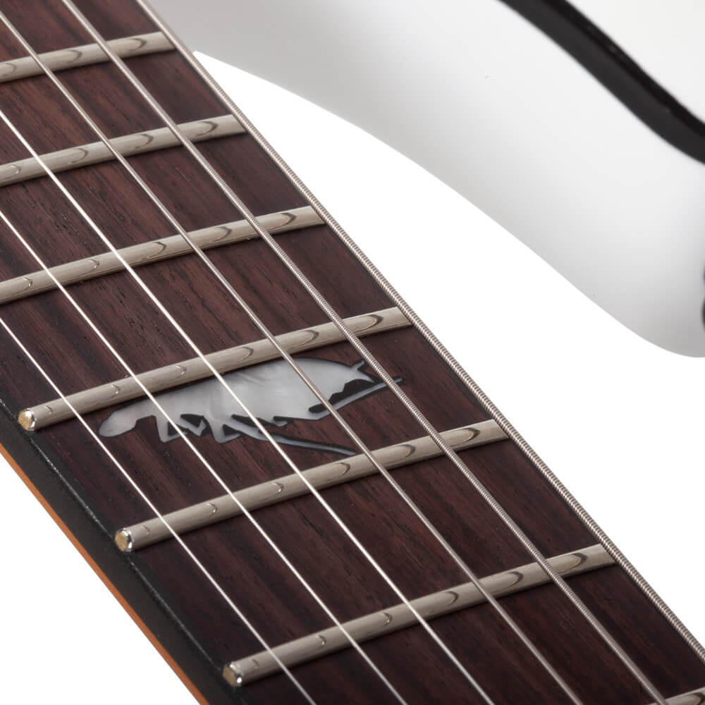 Jerry Horton Schecter C-1 25th Bild 04