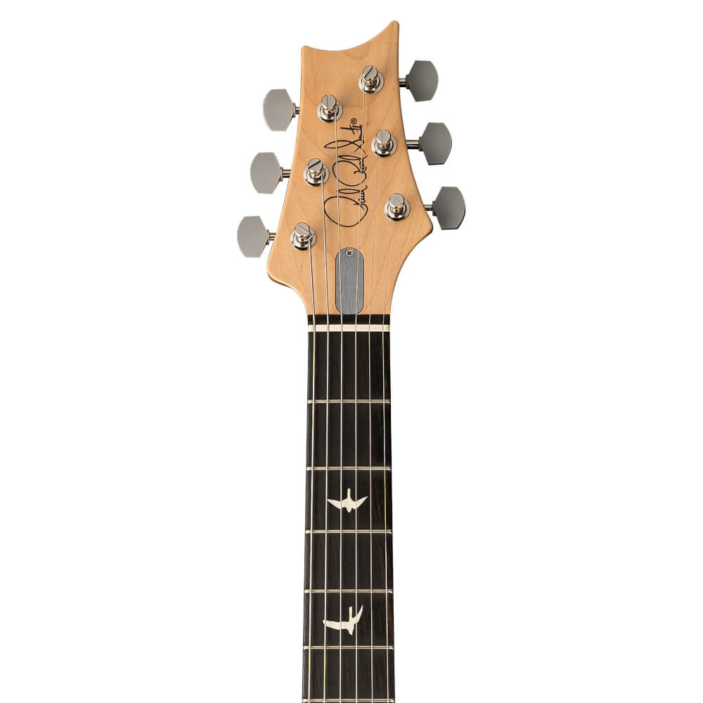 John Mayer PRS Silver Sky Bild 05