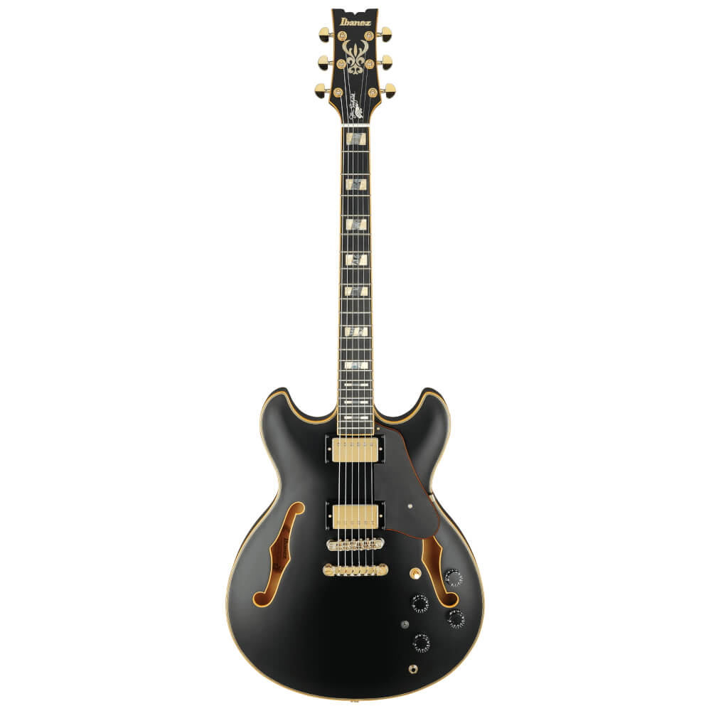John Scofield Ibanez JSM20-BKL Bild 01