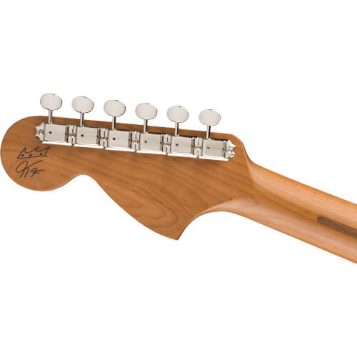 Thumbnail Kingfish Fender Delta Day Telecaster Deluxe Bild 06