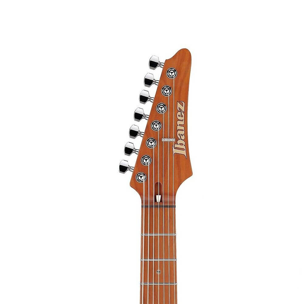 Martin Miller Ibanez MM1-TAB Bild 05