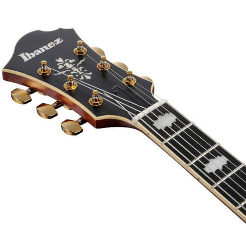 Thumbnail Pat Metheny Ibanez PM3C-NAL Bild 05