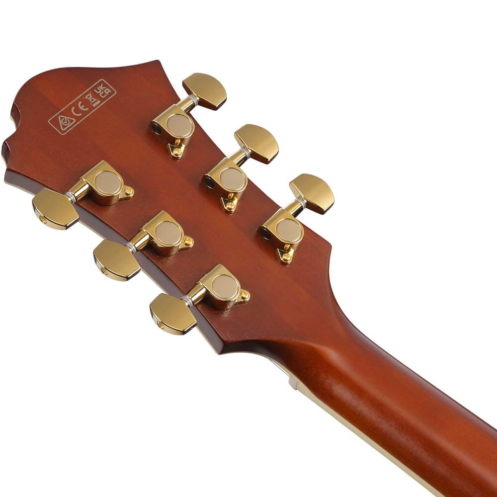 Pat Metheny Ibanez PM3C-NAL Bild 06