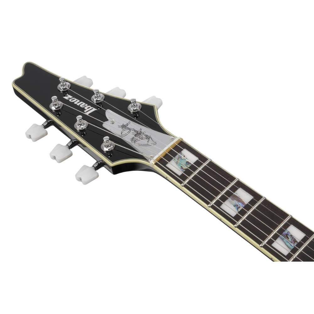 Paul Stanley Ibanez PC3CM Großansicht