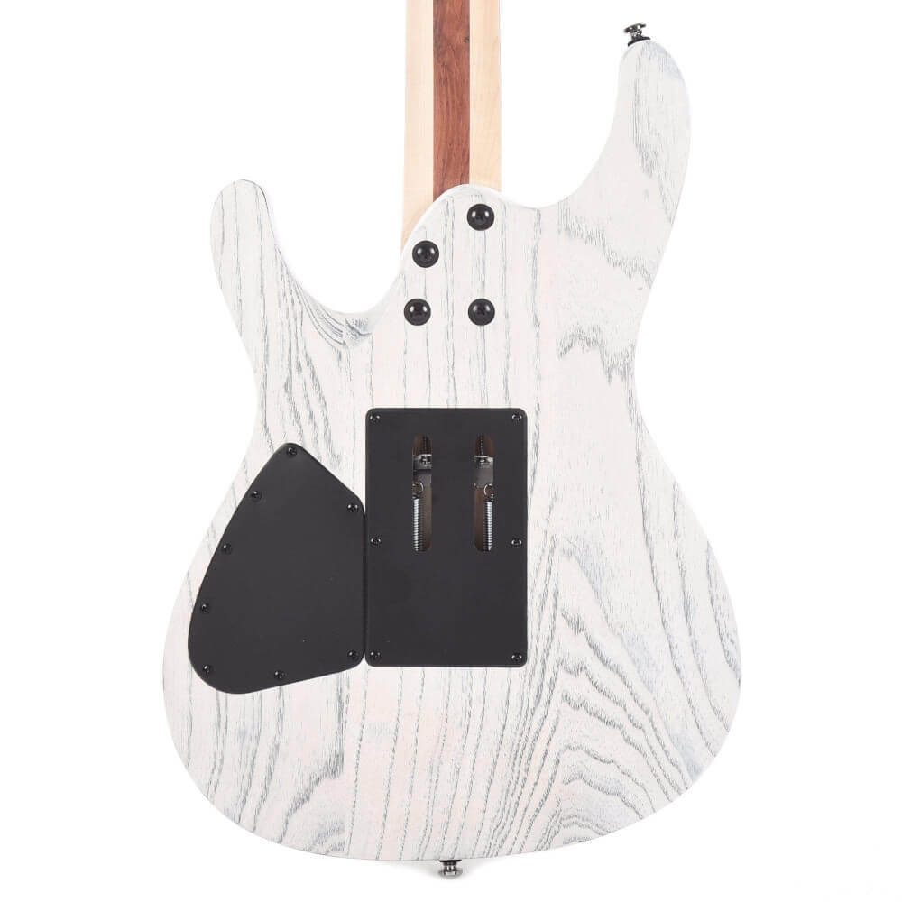 Paul Waggoner Ibanez PWM20 Bild 04