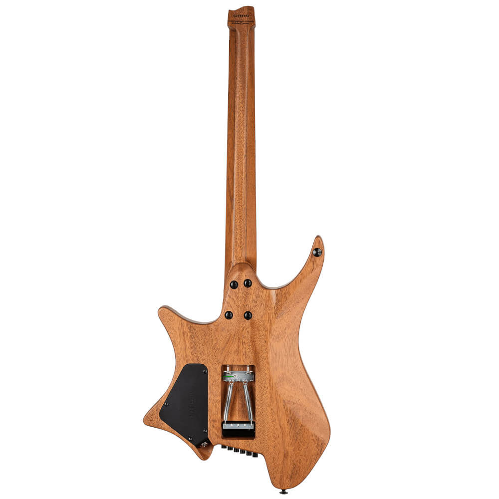 Plini Strandberg Boden Prog NX 6 Bild 02