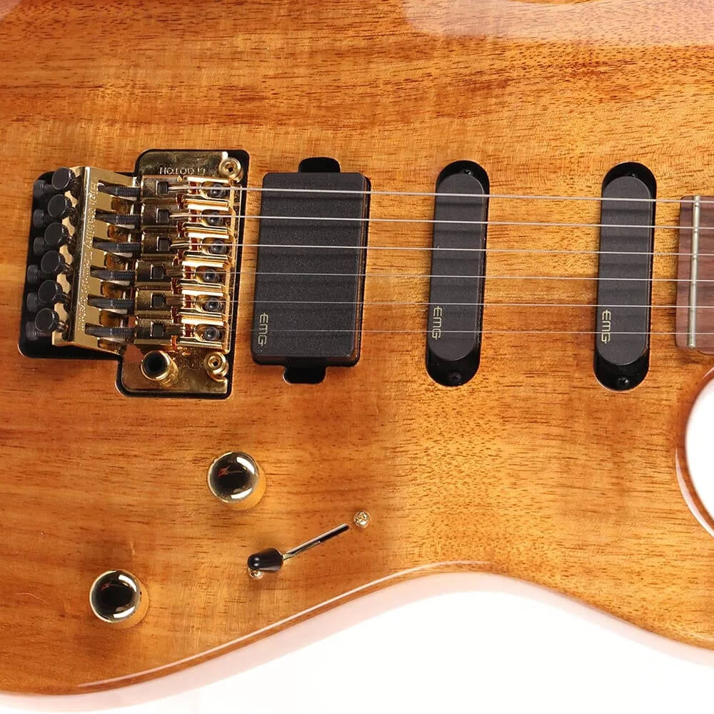 Reb Beach Suhr Standard II Bild 04