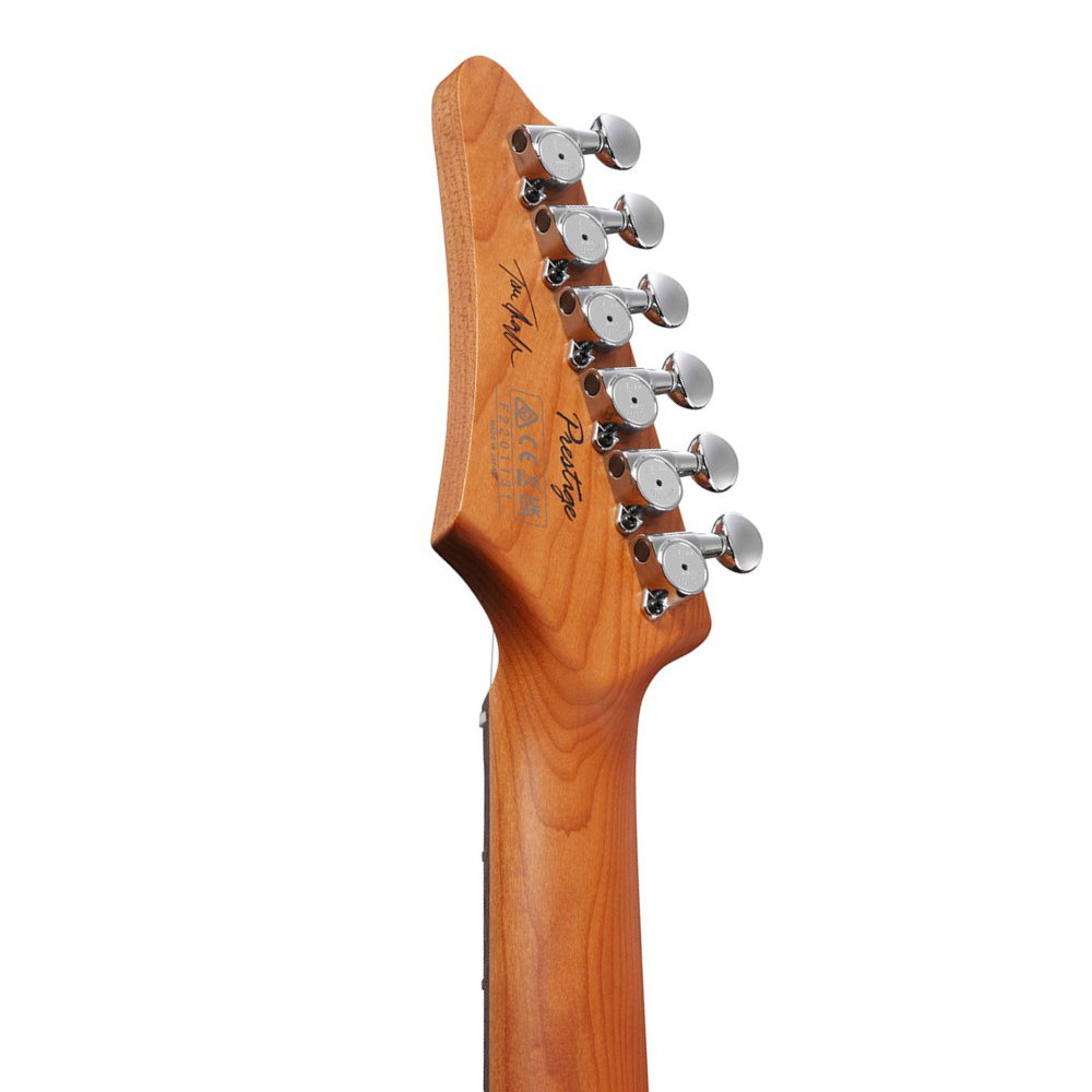 Tom Quayle Ibanez TQMS1-CTB Bild 06