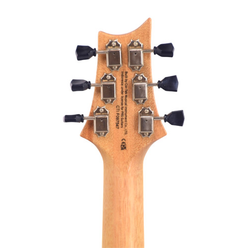 Thumbnail Zach Myers PRS SE MB Bild 06